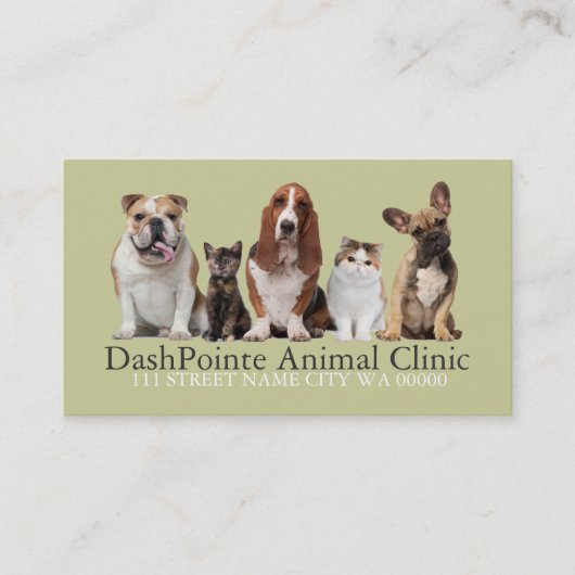 Carte De Visite Clinique Animale Animale Animale Abri vétérinaire (Devant)
