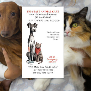 Carte De Visite Clinique d'urgence pour animaux