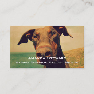 Carte De Visite Closeudo drôle d'un chien Doberman naturel