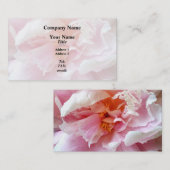 Carte De Visite Closeup des pivoines roses pâles (Devant / Derrière)