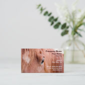 Carte De Visite Closeup of Horse (Debout devant)