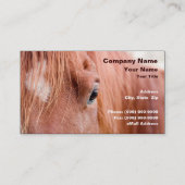 Carte De Visite Closeup of Horse (Devant)