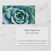 Carte De Visite Closeup Succulent (Devant / Derrière)