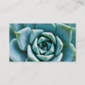 Carte De Visite Closeup Succulent (Devant)