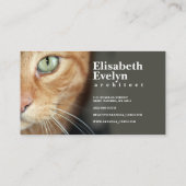 Carte De Visite Closeuse de la face du chat tigre orange (Dos)