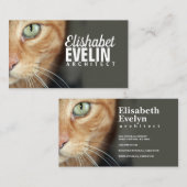 Carte De Visite Closeuse de la face du chat tigre orange (Devant / Derrière)