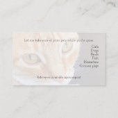 Carte De Visite Closeuse du chat orange (Dos)