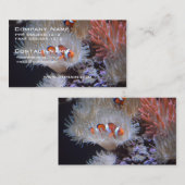 Carte De Visite Clownfish (Devant / Derrière)