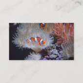 Carte De Visite Clownfish (Dos)