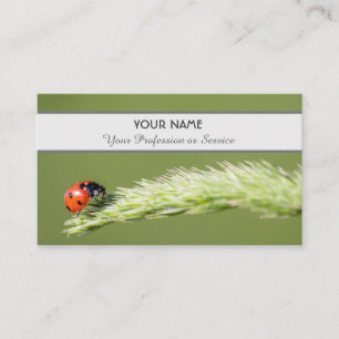 Carte De Visite coccinelle positive et chanceuse pour zen et l'édu
