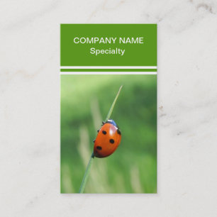 Carte De Visite Coccinelle sur une brin d'herbe