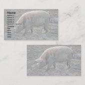 Carte De Visite Cochon (Devant / Derrière)