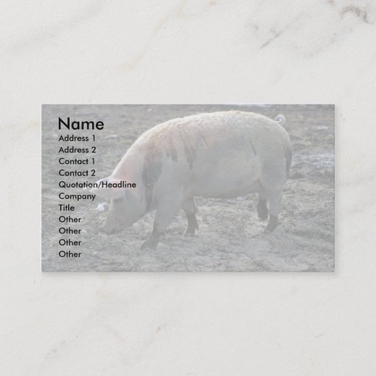 Carte De Visite Cochon (Devant)