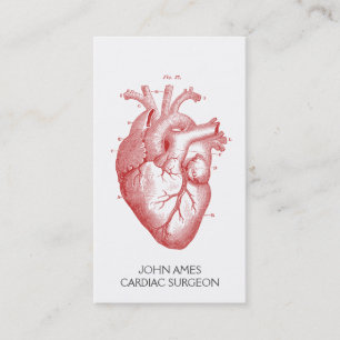 Carte De Visite Coeur anatomique Chirurgien cardiaque Médicale