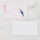 Carte De Visite Colibri de Harriot (Devant / Derrière)