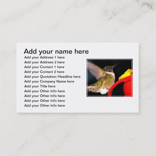 Carte De Visite Colibri Rubis-Throated (Devant)