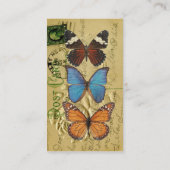 Carte De Visite Collection papillon (Dos)