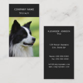Carte De Visite Collie Chien noir et blanc (Devant / Derrière)