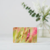 Carte De Visite coloris (Debout devant)