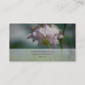 Carte De Visite Columbine | Akelei (Dos)