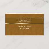 Carte de visite comptable Shiny Stripe (Devant)