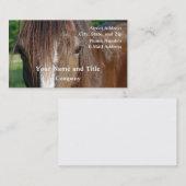 Carte De Visite comté (Devant / Derrière)