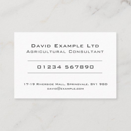 Carte De Visite Conception audacieuse et claire - Consultant agric (Dos)