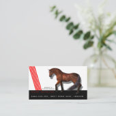 Carte De Visite Concurrence de cheval d'entraîneur d'entraîneur (Debout devant)