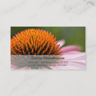 Carte De Visite Coneflower pourpre Sonnenhut