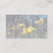Carte De Visite Coneflowers (Dos)