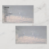 Carte De Visite Confrontation de mâle à l'aube (Devant / Derrière)