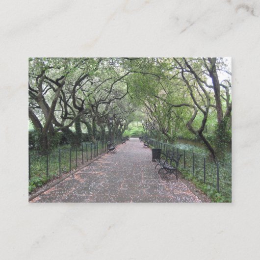 Carte De Visite Conservatory Garden Central Park NYC Photographie (Devant)