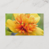 Carte De Visite Contact de chaleur (Dos)