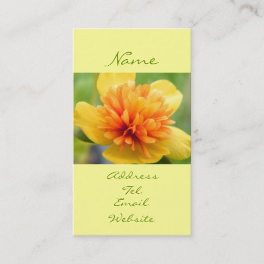 Carte De Visite Contact de chaleur (Devant)