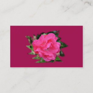 carte de visite coopération, rose rose