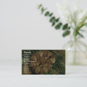 Carte De Visite copperhead Large-réuni (Debout devant)