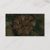 Carte De Visite copperhead Large-réuni (Dos)