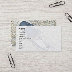 Carte De Visite Coques d'oeufs de patinage sur la plage