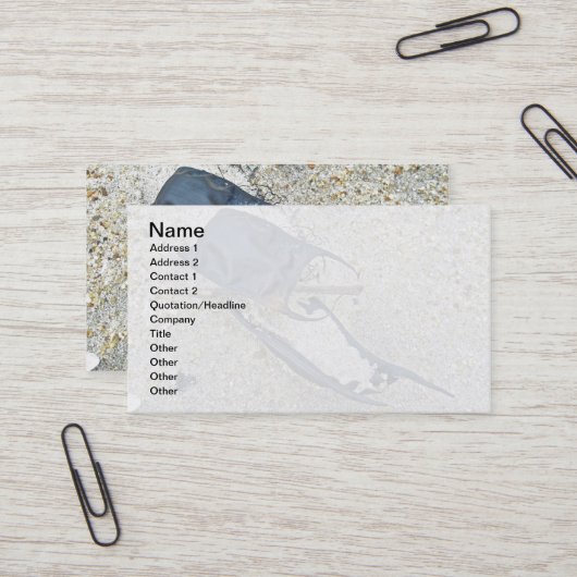 Carte De Visite Coques d'oeufs de patinage sur la plage (Devant/Arrière en situation)