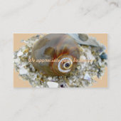 Carte De Visite Coquillage à bas niveau pour les éléments de coord (Dos)