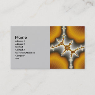 Carte De Visite Coquillages