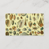 Carte De Visite Coquillages de coquillages Mollusk Clam Élégant Ar (Dos)