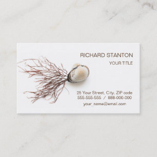 Carte De Visite Coquille