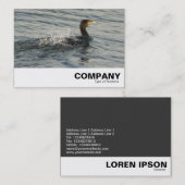 Carte De Visite Cormorant Apprendre à nager (Devant / Derrière)