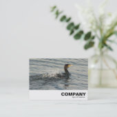 Carte De Visite Cormorant Apprendre à nager (Debout devant)