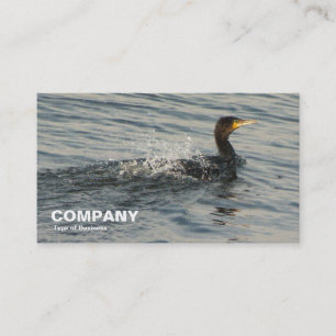 Carte De Visite Cormorant Apprendre à nager