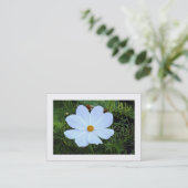 Carte De Visite Cosmos blanc (bordé) (Debout devant)