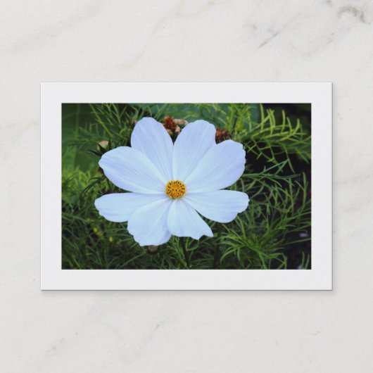 Carte De Visite Cosmos blanc (bordé) (Devant)