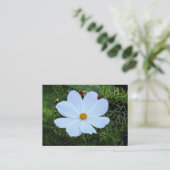 Carte De Visite Cosmos blancs (Debout devant)