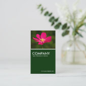 Carte De Visite Cosmos Rose - Vert foncé (Debout devant)